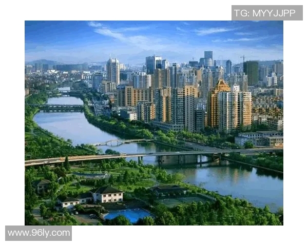 深入分析杭州羽毛球队的运营策略与发展模式